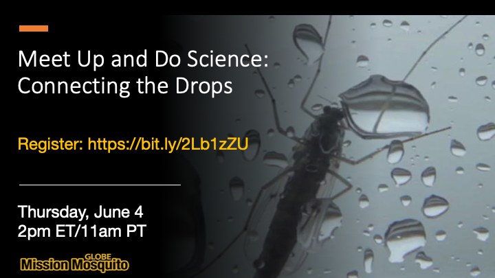 GLOBE Mission Mosquito 04 June 2020 webinar shareable
