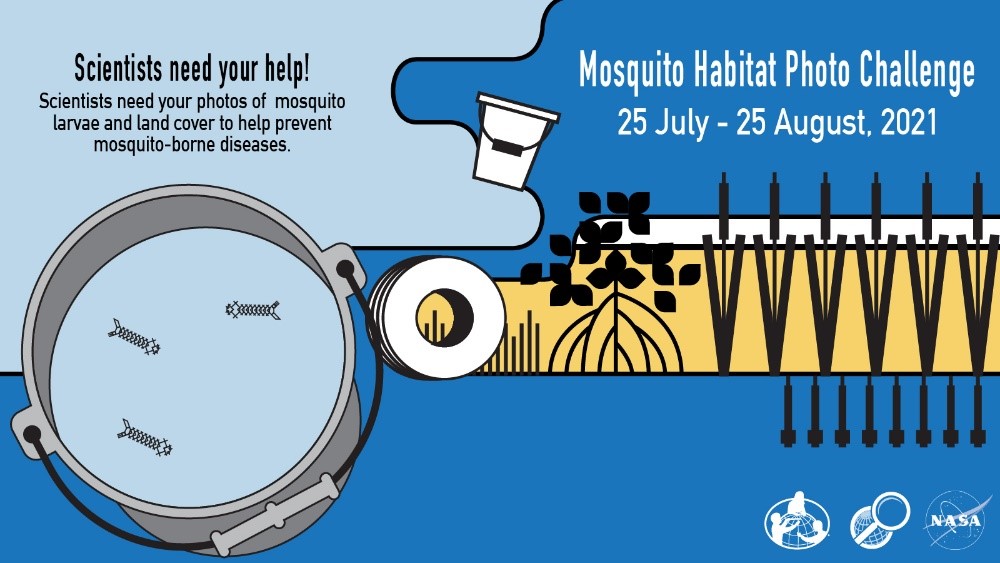 A shareable, showing a bucket filled with mosquito larvae and a roll of film, that reads "Mosquito Habitat Photo Challenge: 25 July-25 August"