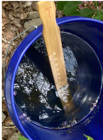 A photo of a bucket of water