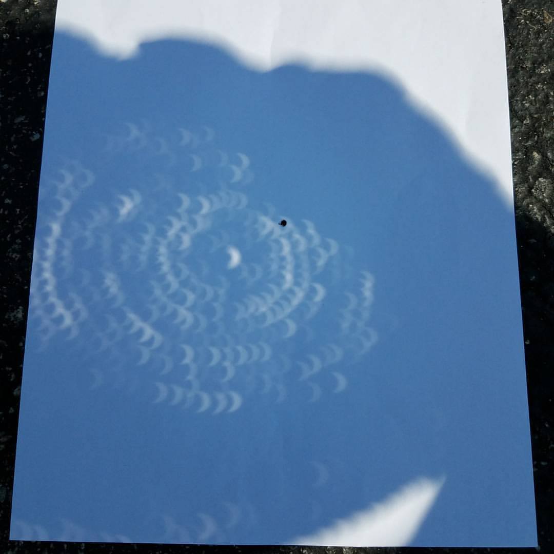 a shadow of the straw hat on a white piece of paper with visible eclipses seen in each hole that the sun shines through