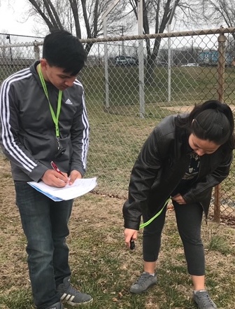 Students collecting surface temperature data