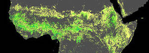 satellite map of central Africa trees